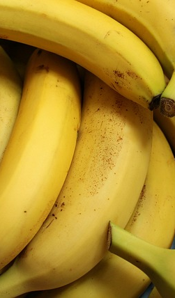 /media/627/download/bananas-3700718_640.jpg?v=1 bananas-3700718_640