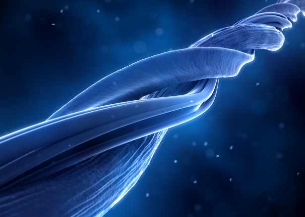 composés-pulvérulent-EMA